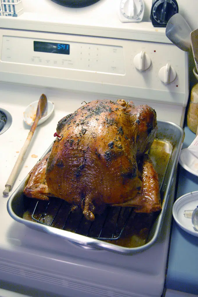 Turkey Tips For Christmas Dinner