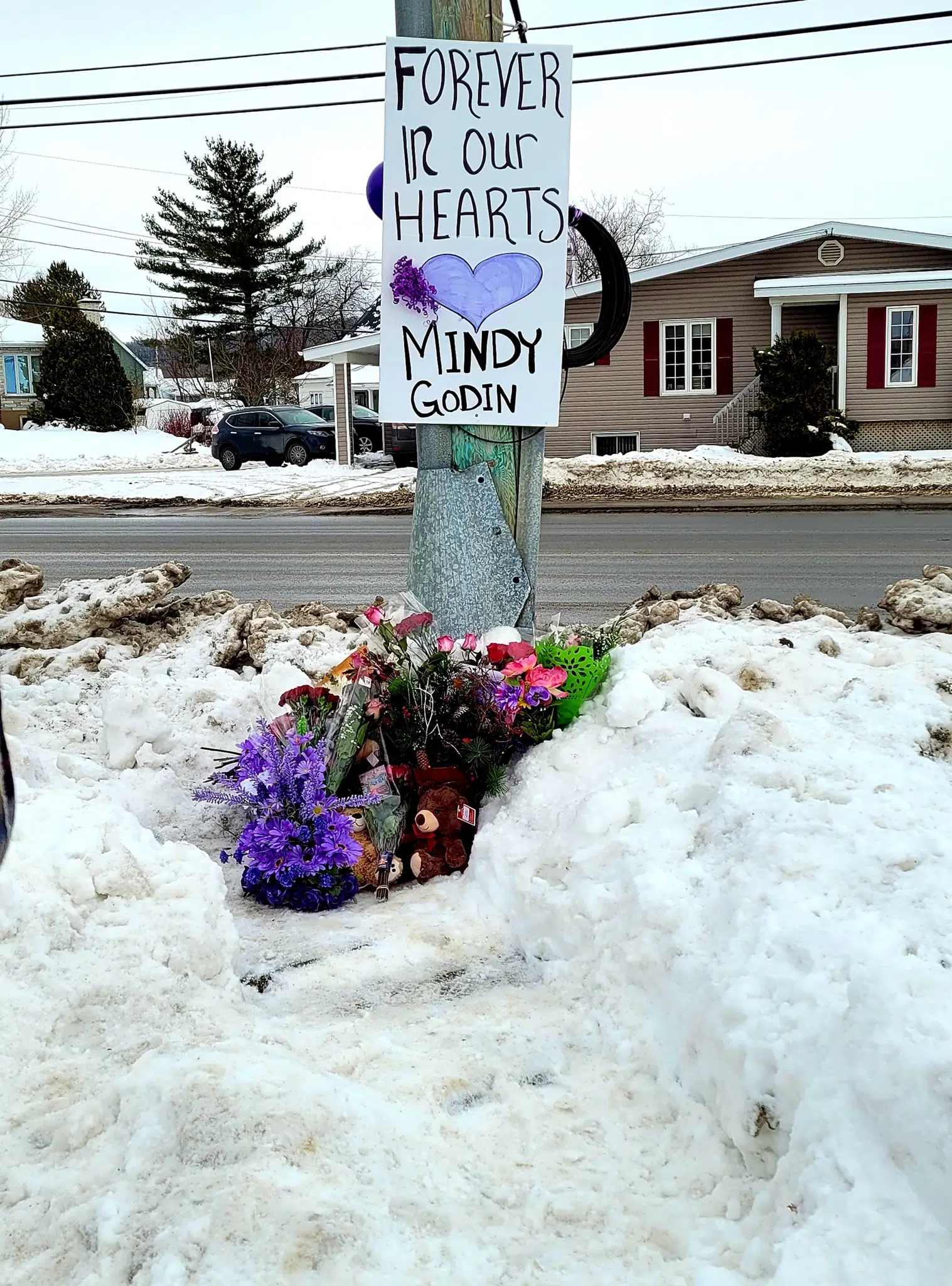 Outpouring Of Support For Mindy Godin