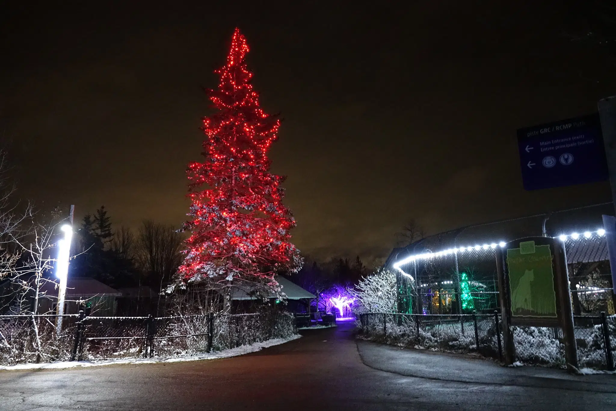 Magnetic Hill Zoo Wild Lights Selling Out Quickly