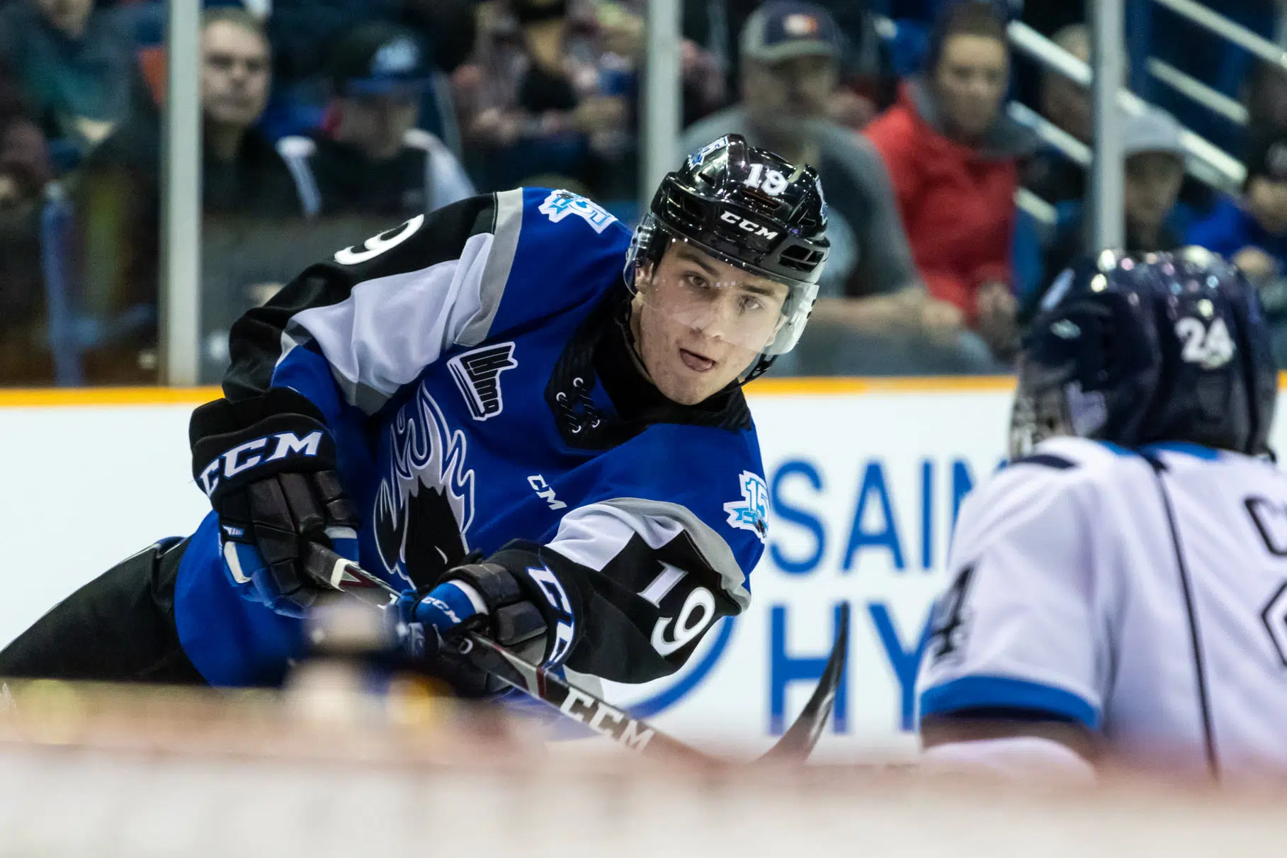 Sea Dogs Trade Roy For Four Draft Picks