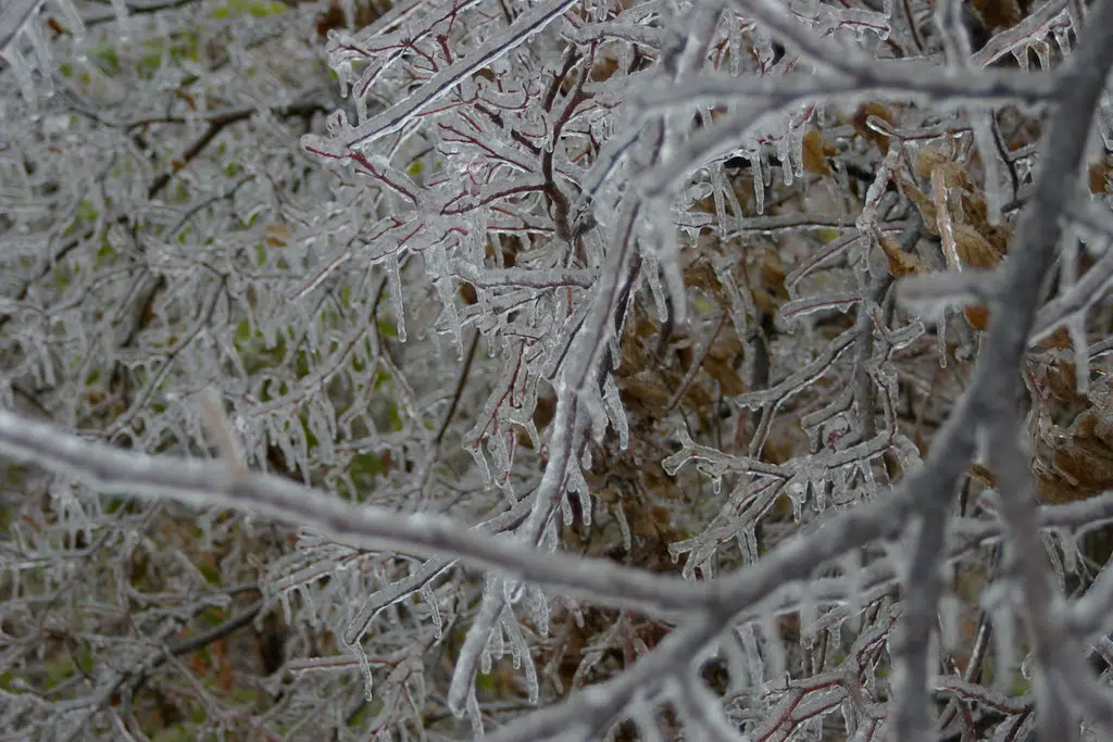 Power Outages Possible Due To Freezing Rain