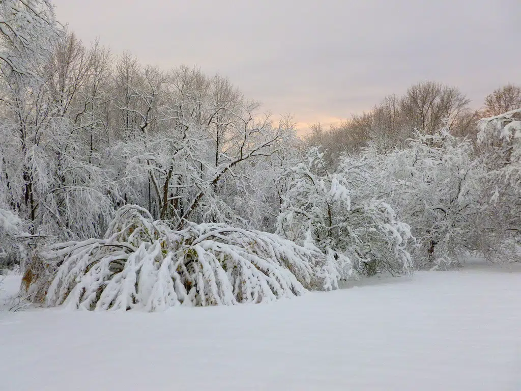 UPDATED: Special Weather Statement For Heavy Snow