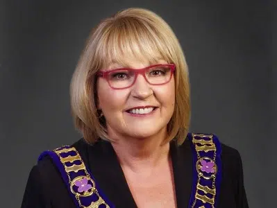 Riverview Mayor Ann Seamans Not Re-Offering