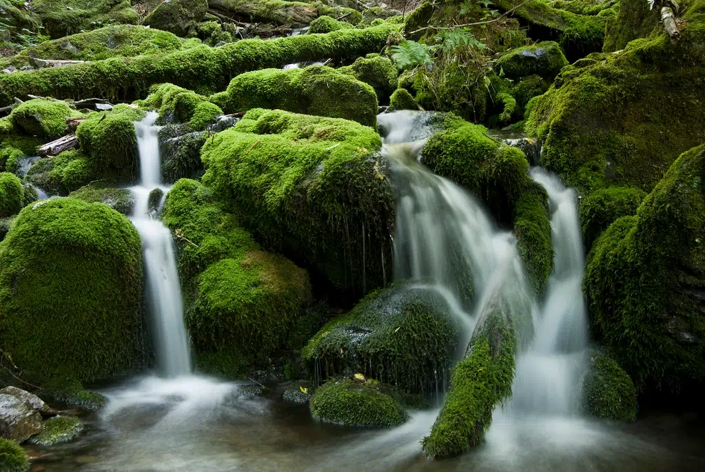 Reservations Open At N.B. National Parks