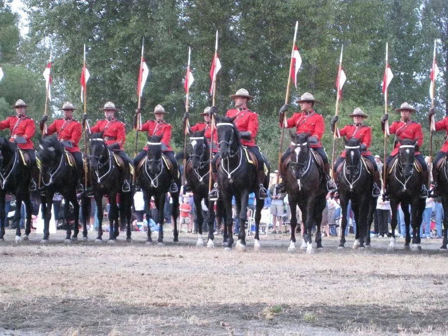 RCMP Launch Naming Contest For New Foals