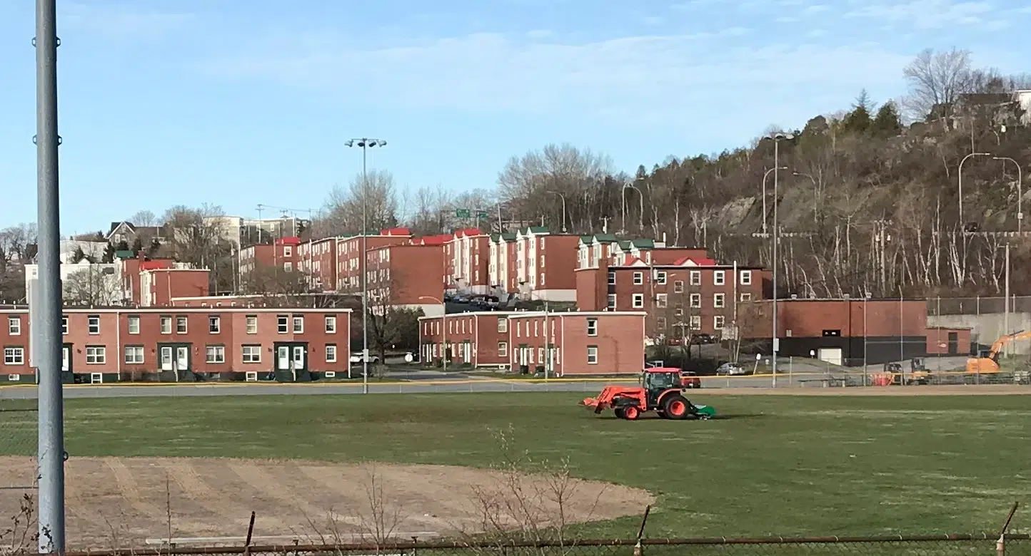 Saint John Field Bookings At Pre-Pandemic Levels