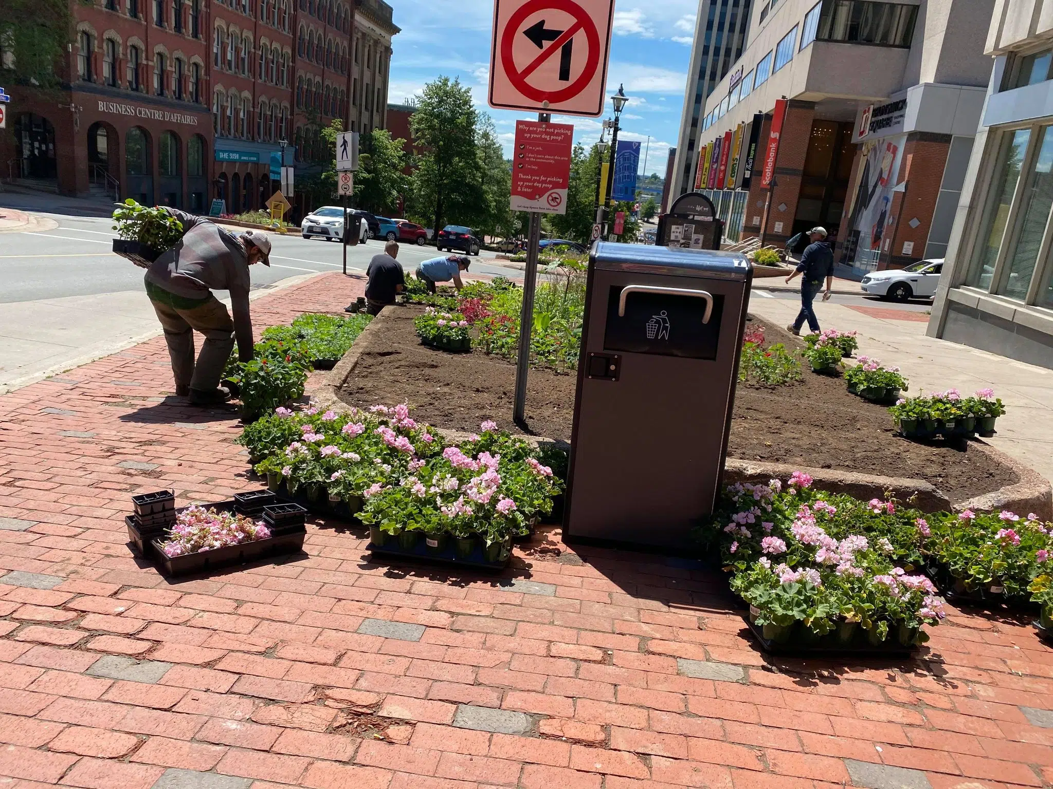 Flower Beds, Baskets Return To Uptown Saint John