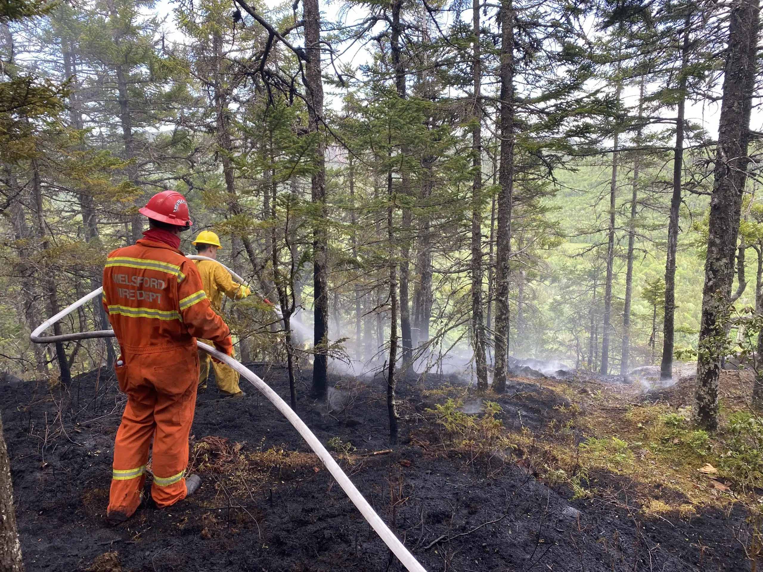 Quiet Forest Fire Season In N.B.