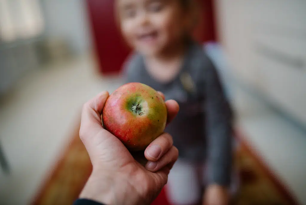 Program Providing Summer Snack Packs Through FDA