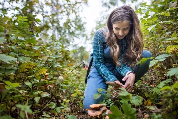 Big Backyard BioBlitz Returns This Weekend