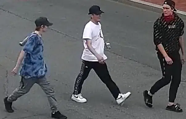 Suspects Sought In Sydney Street Assault