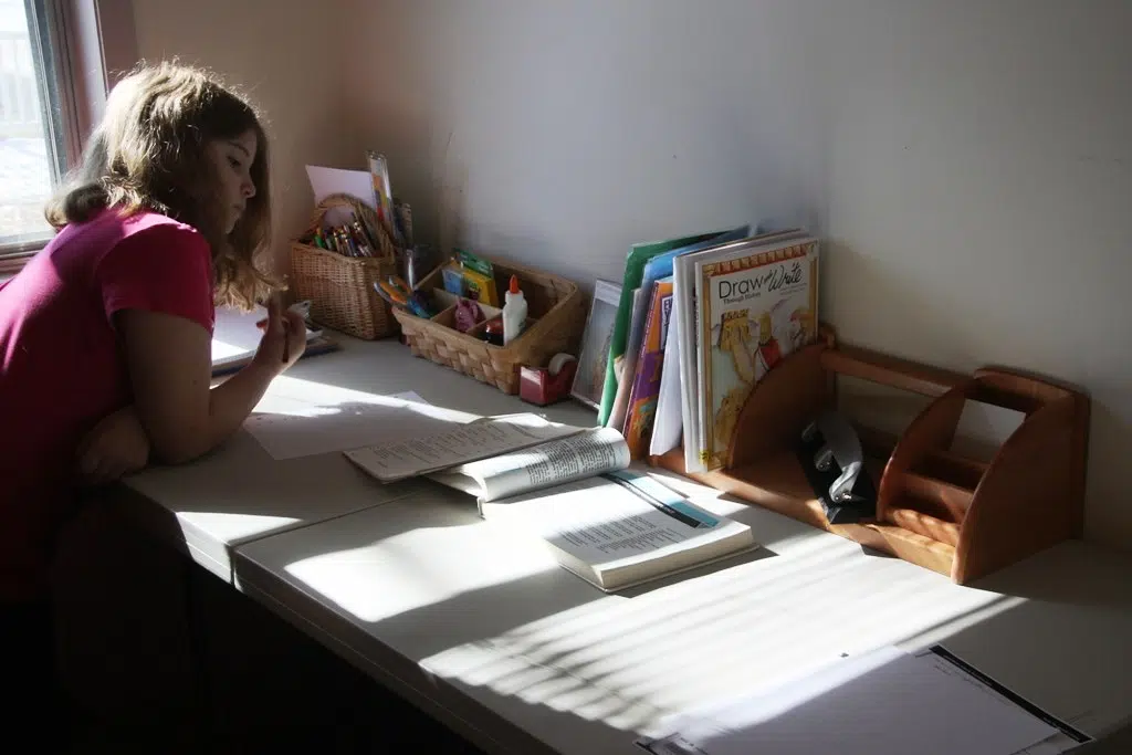 Homeschooling Growth Reflects Positive Educational Impact