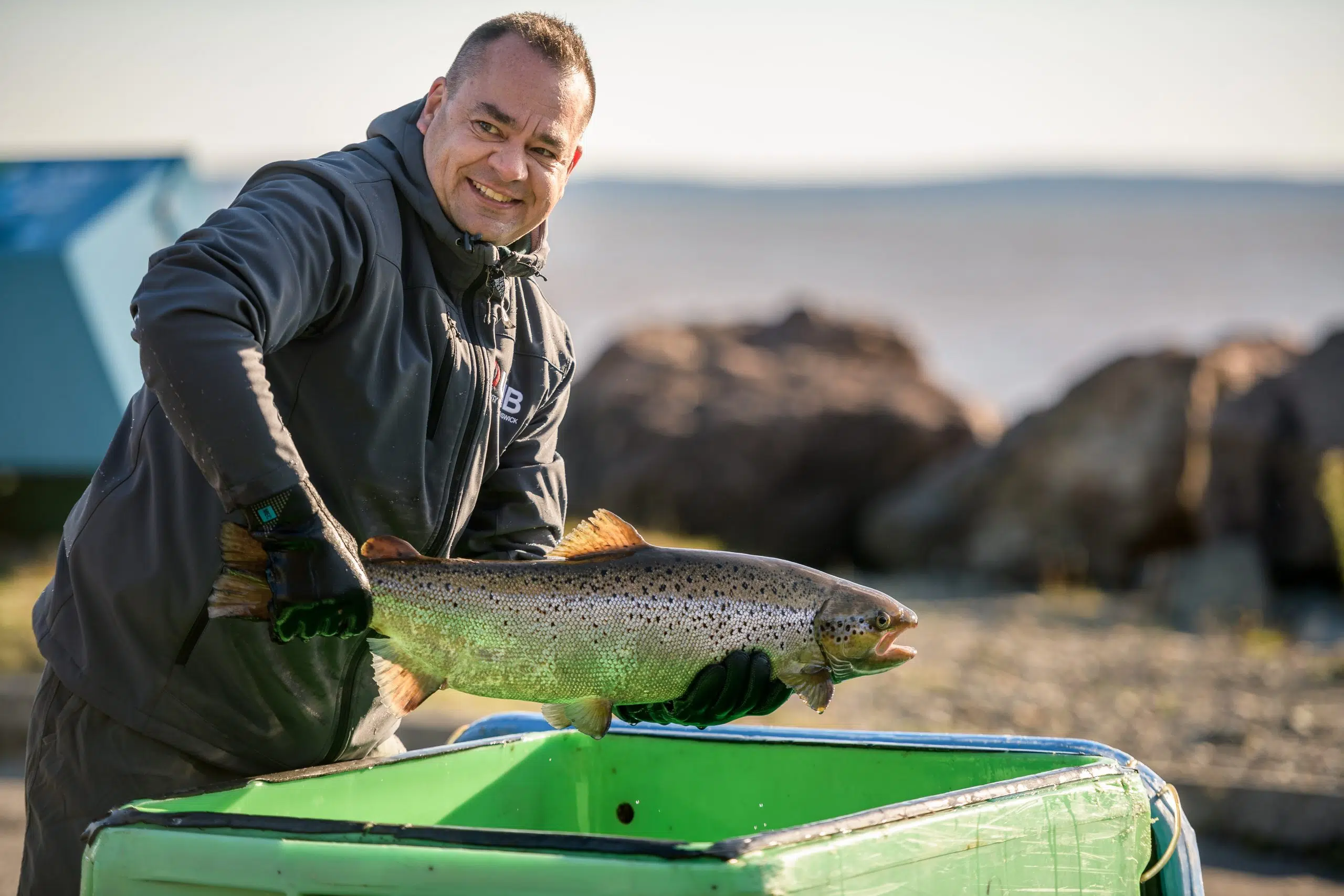 Salmon Return To Fundy National Park Rivers