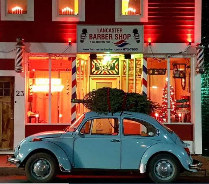 Holiday Tradition Involving VW Beetle Returns