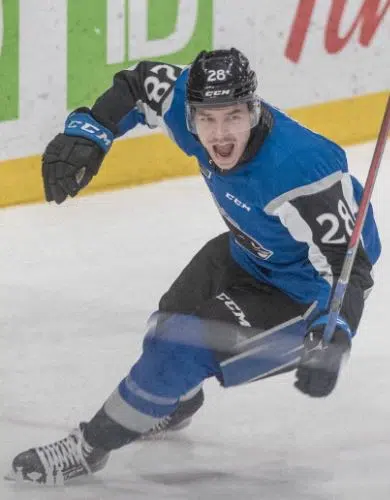 Sea Dogs Forward Heading To National Junior Team Selection Camp