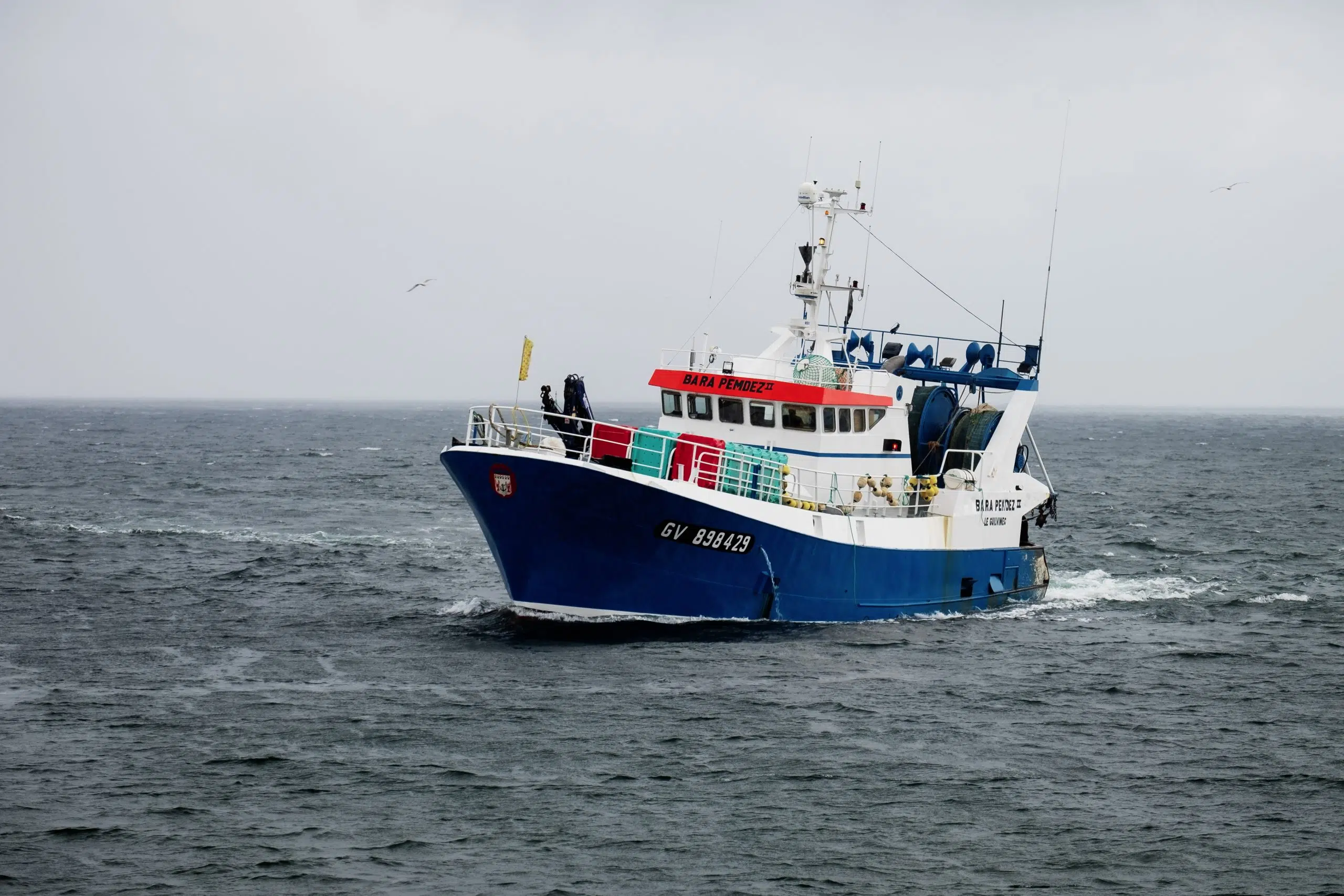 DFO Closes Mackerel Commercial, Bait Fisheries