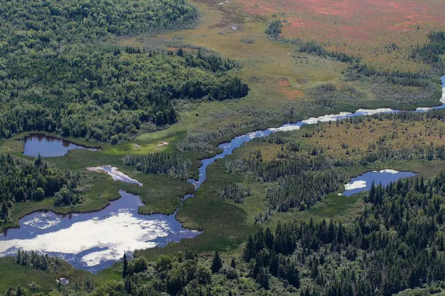 Massive Land Donation Made On The Chignecto Isthmus