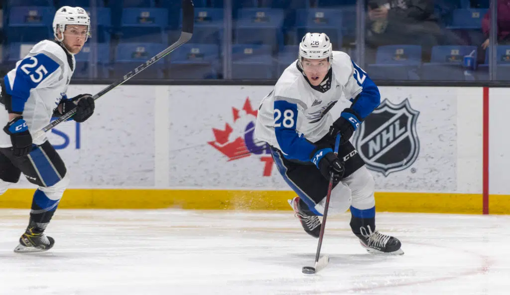 Sea Dogs Gear Up For The Memorial Cup Opener