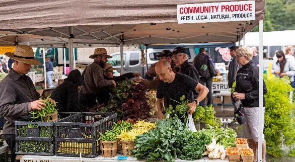 NB Local Food Co-Op Strives To Overcome Barriers