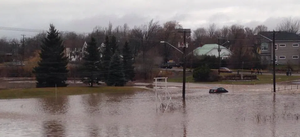 Financial And Consumer Services Commission Issues Warning About Possible "Flood Damaged Vehicles"