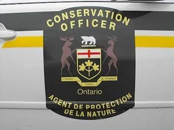 Men Fined $2,500 For Hunting Violations