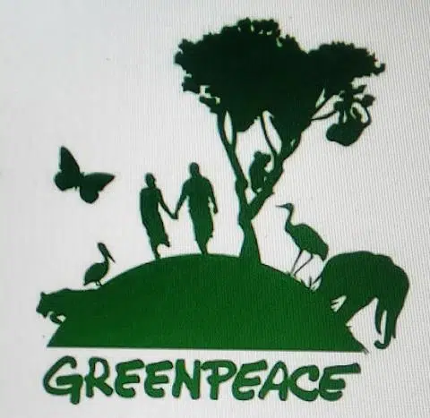 Greenpeace Takes on Ford PC's