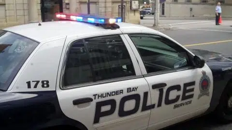VIDEO: Police Nab B&E Suspects