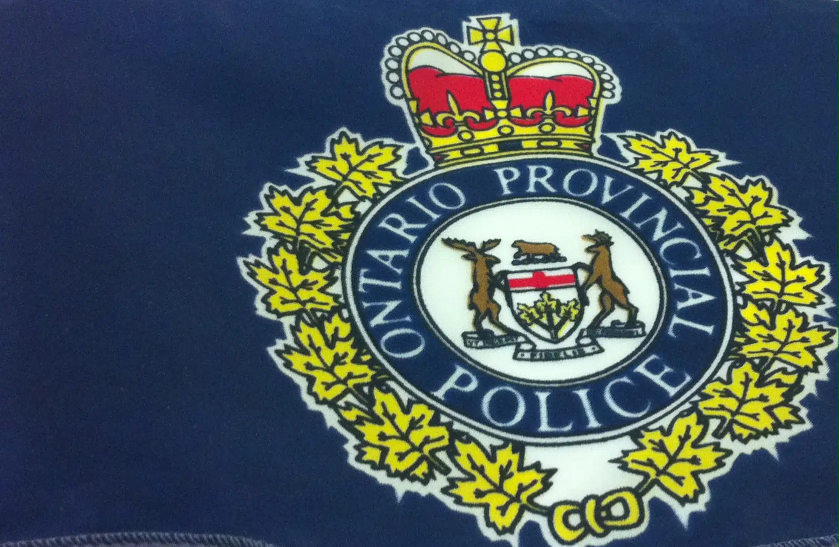 OPP Search For Stolen Items 
