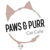Cat Cafe To Open Next Year