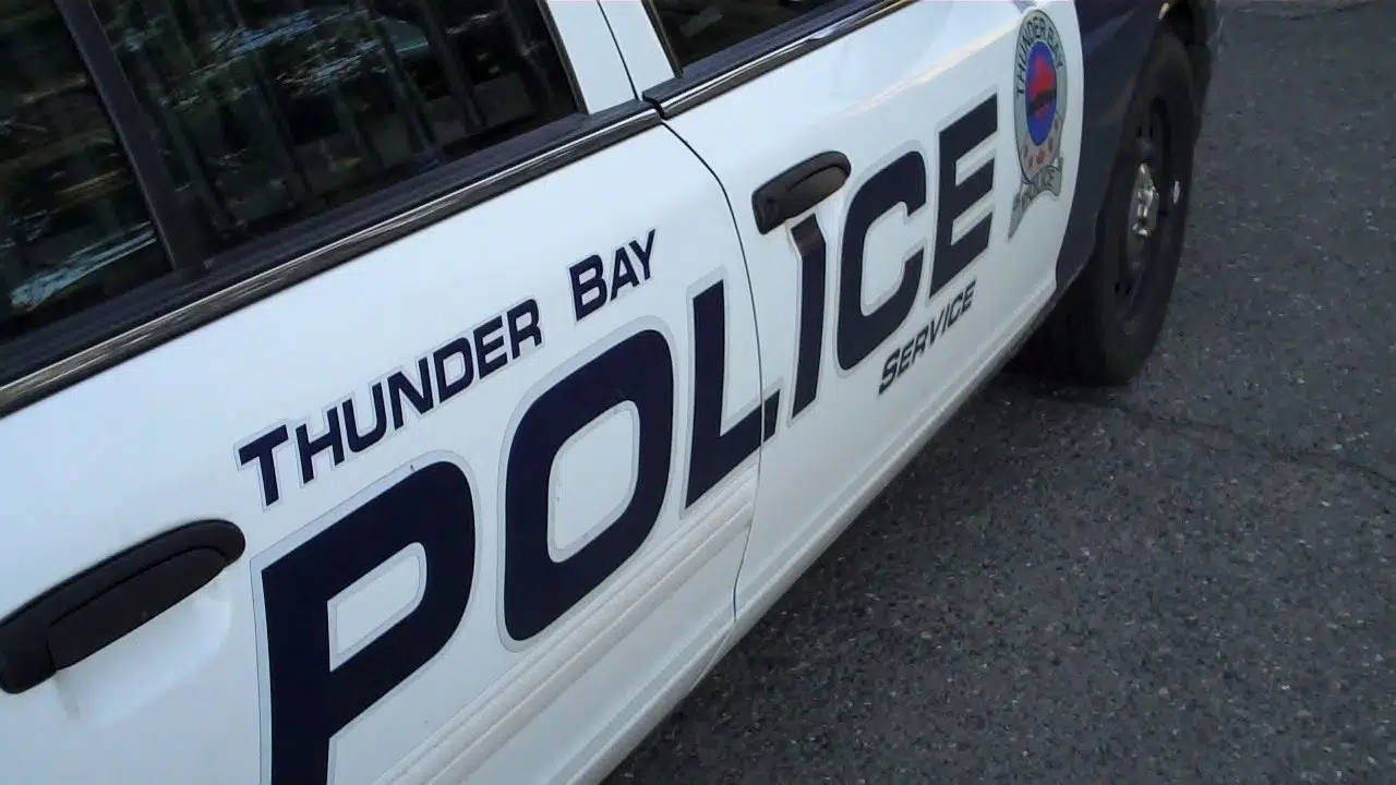 Charges Laid After Bay Street Incident 