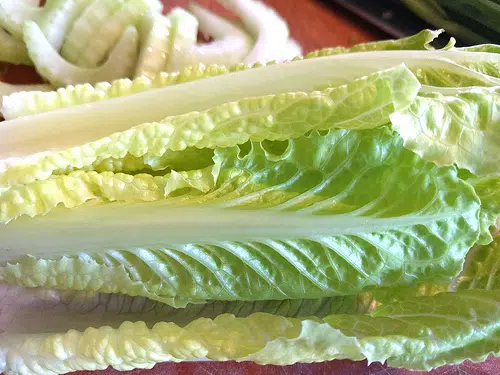 E-Coli Warning About Romaine Lettuce 