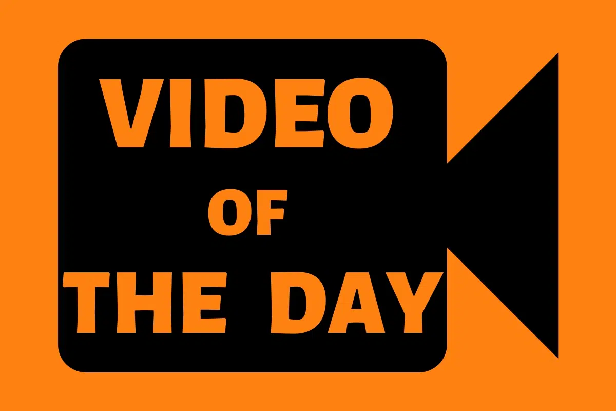 WATCH: Video of the Day