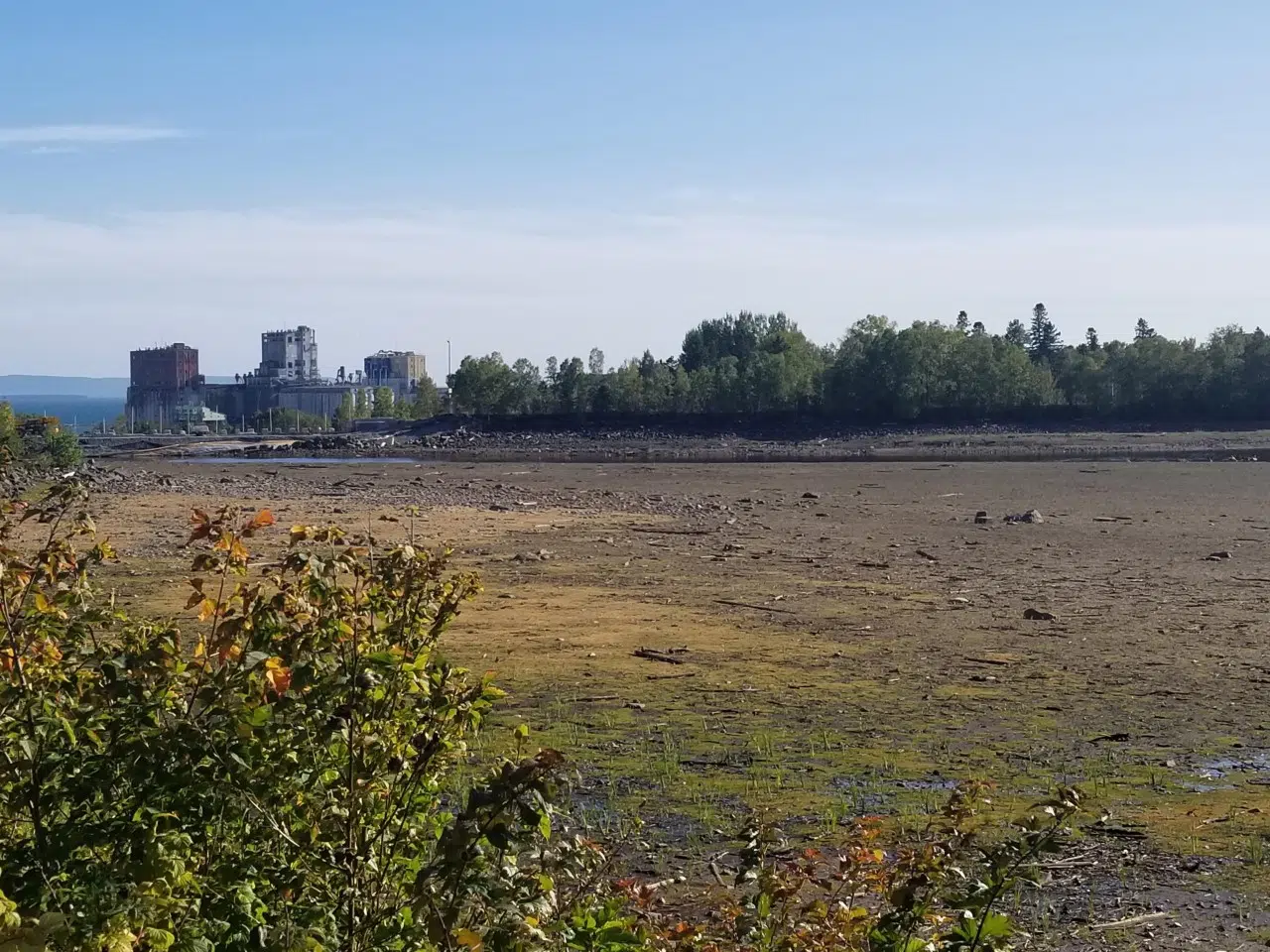 Boulevard Lake Cleaned While Dam Fixed