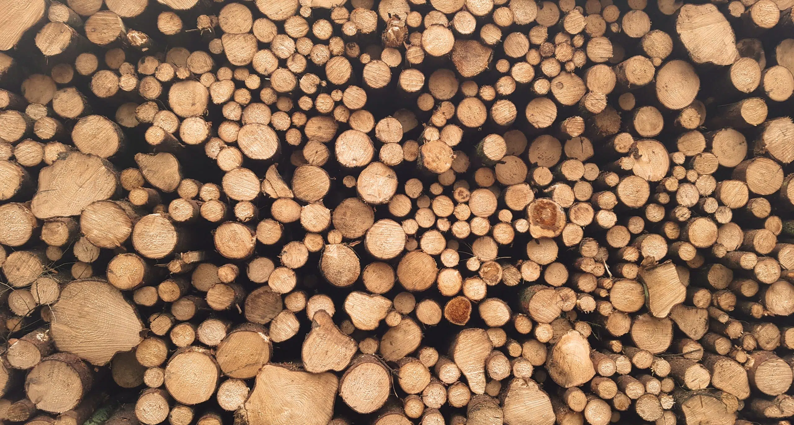 U.S. Increases Duties On Canadian Softwood Lumber