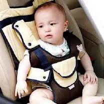 Safety Seats Key To Protecting Children