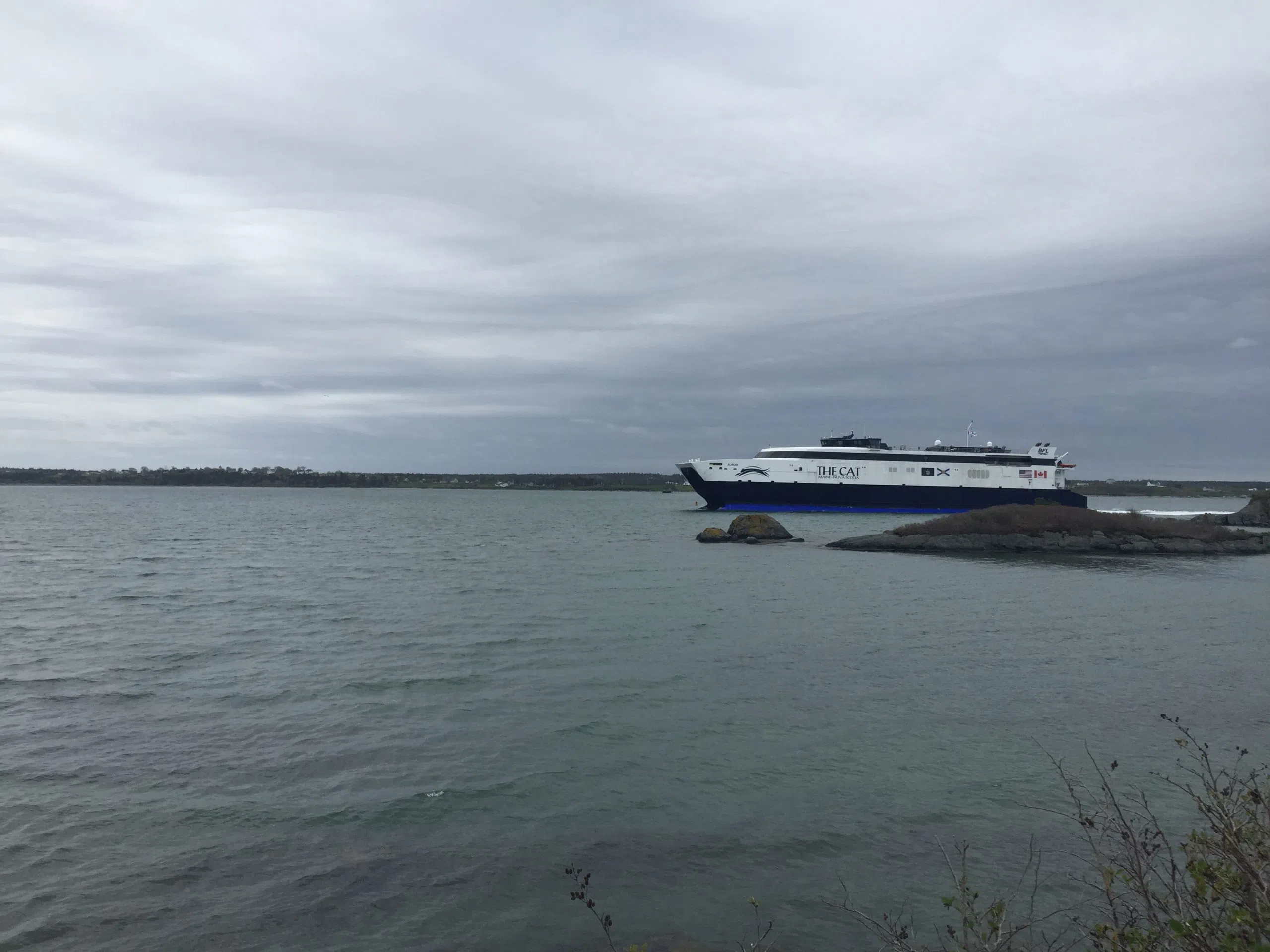 Cat Ferry Numbers "Positive"-Bay Ferries CEO