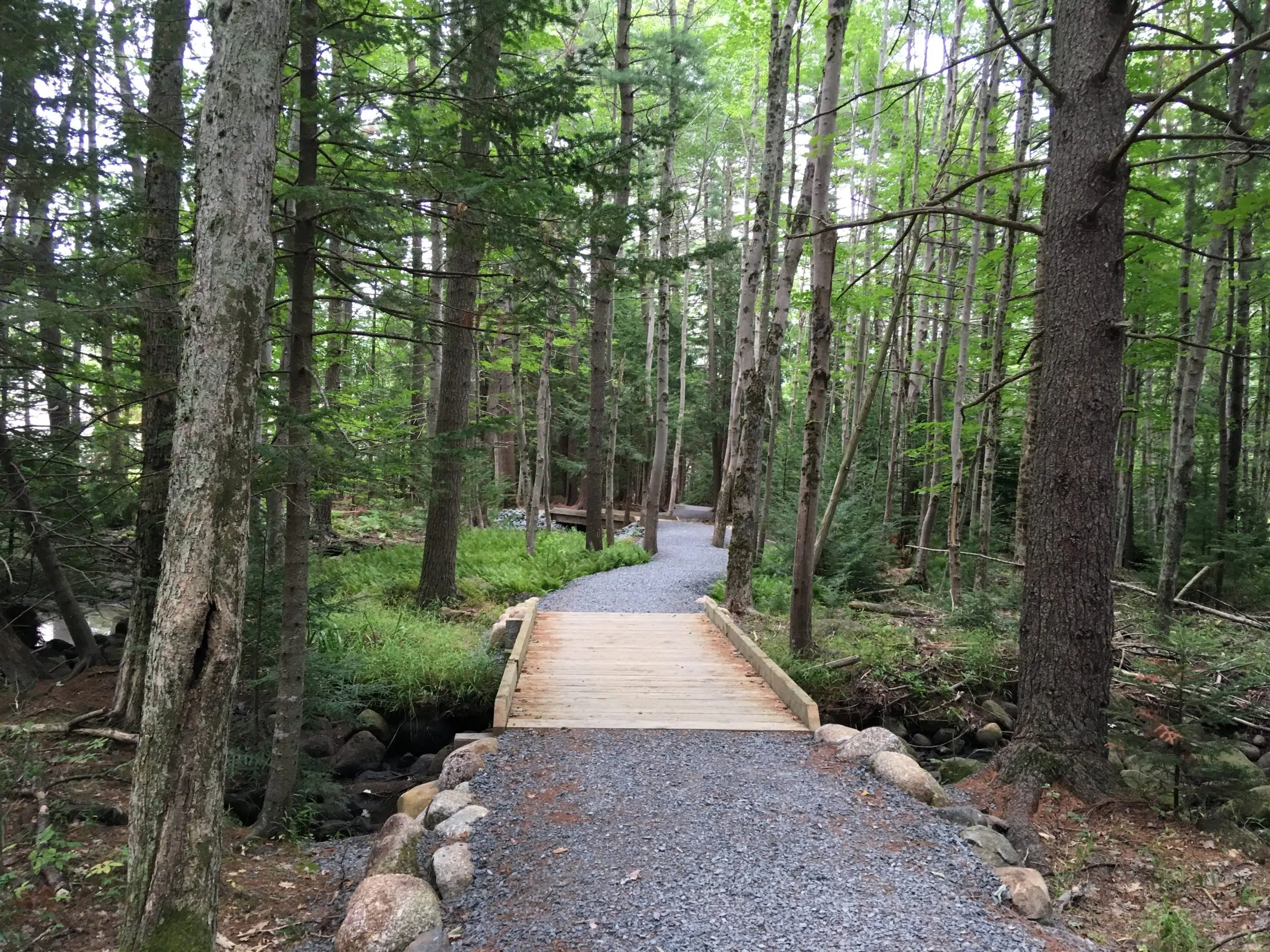 Glen Allan Park Trail Officially Opening
