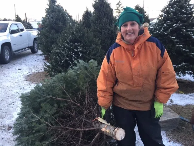 Nova Scotia Facing Possible Christmas Tree Shortage