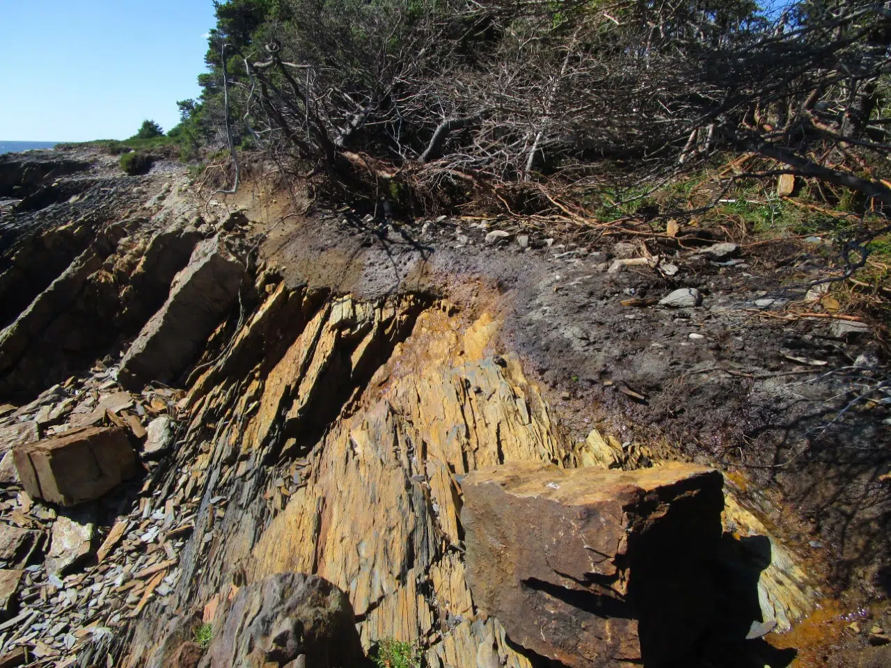 Gaff Point Closed, Left In Shambles By Hurricane Dorian