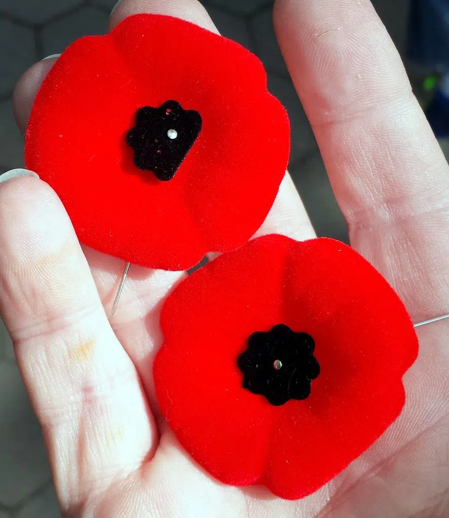 Time To Get Your Poppy!!! Here's Where You Can Find Them In Bridgewater!