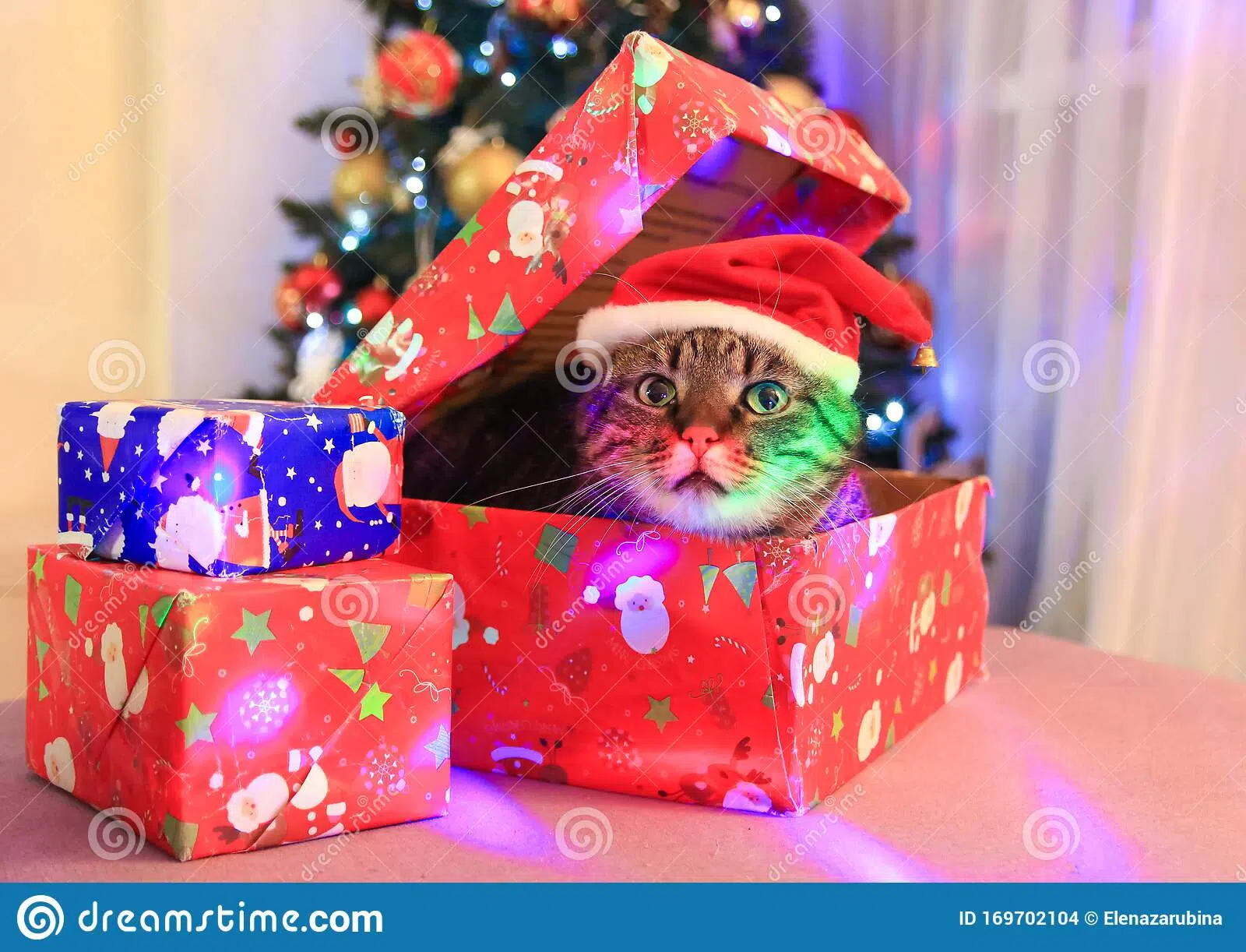 Christmas Gifts - Wrapping Tips AND When Should You Open Presents??