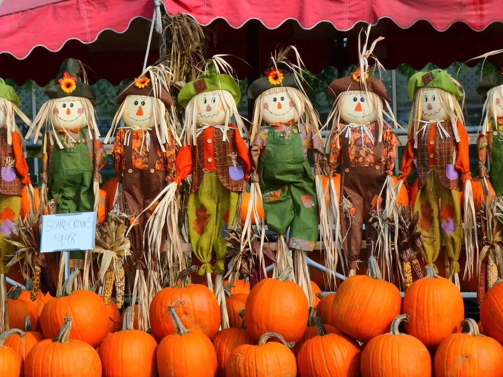 Scarecrows Or Pumpkin People?  Both Are On Display This Month