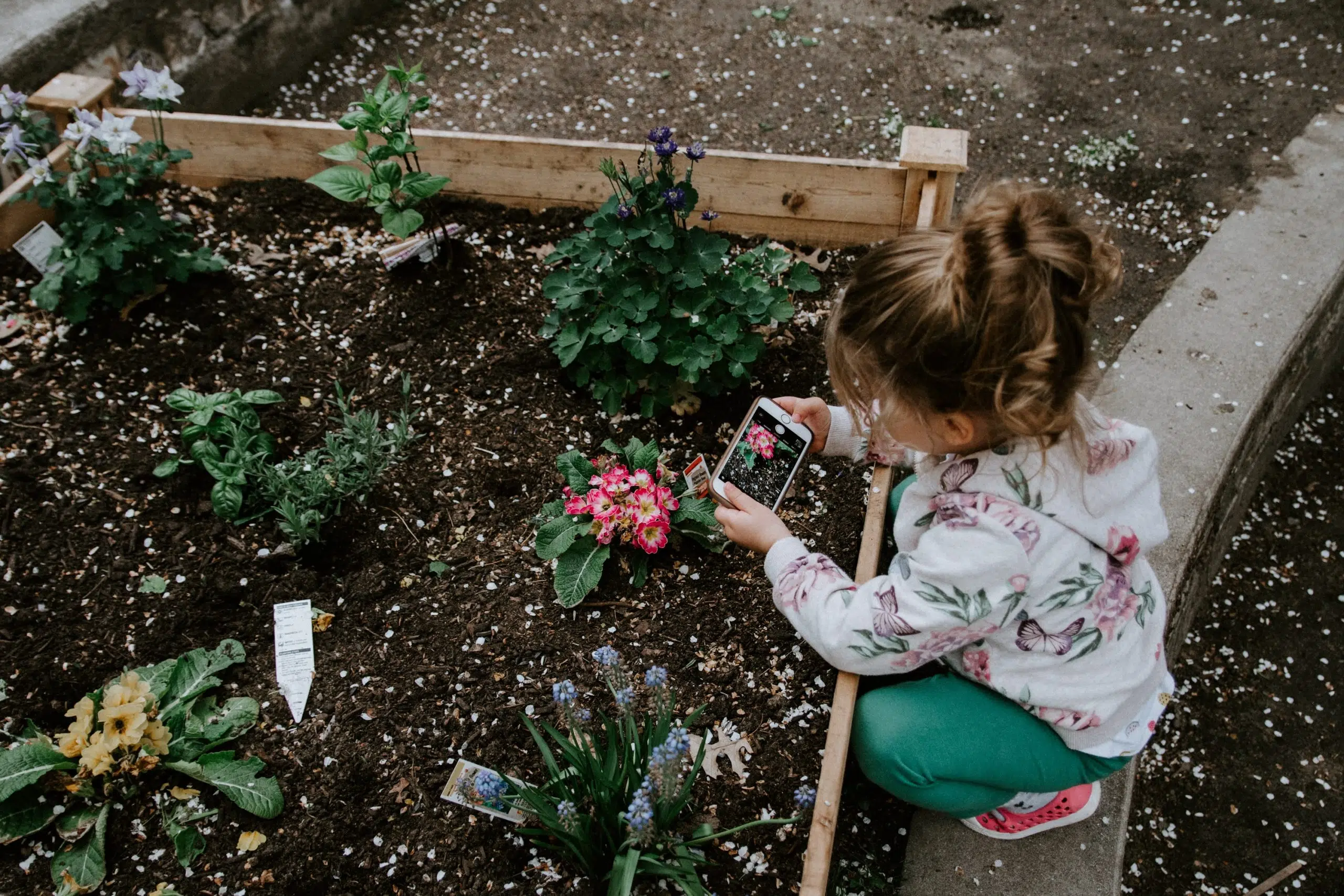 Plant The Seed For Health - Gardening Exercise