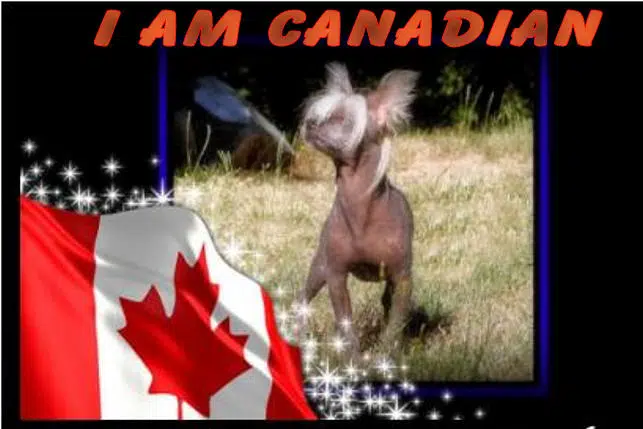 What Does "Canadian" Mean To You?