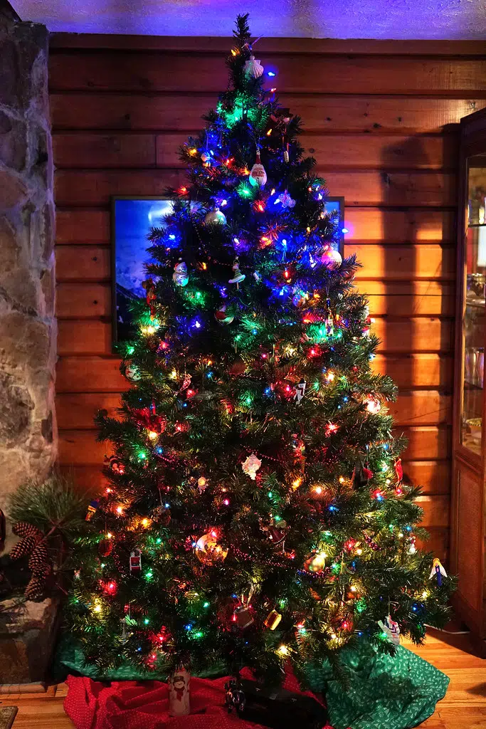 Want The PERFECT Christmas Tree This Year?  Here Is The Formula!