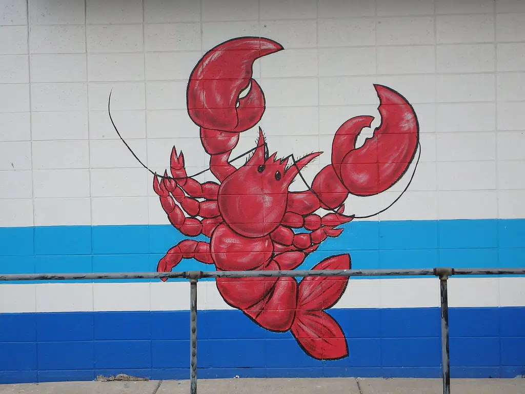 LISTEN - Lucy The Lobster Sees Her Shadow To Kick Off Lobster Crawl 2023