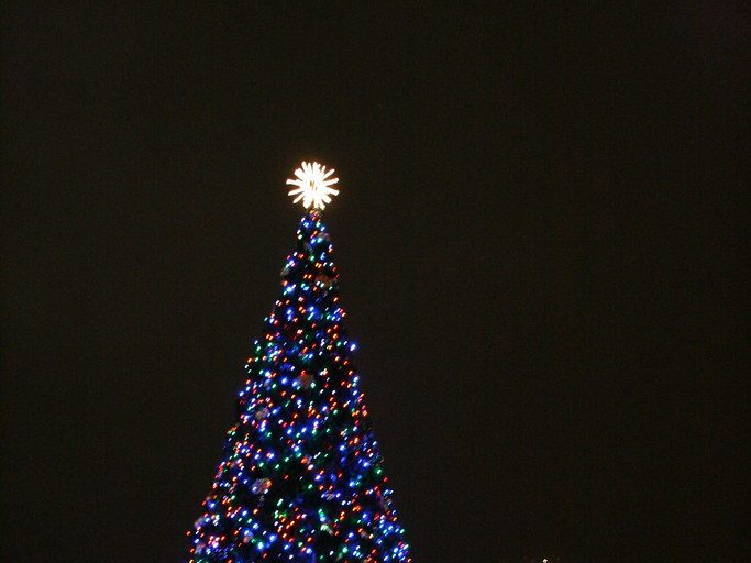 So Many Christmas Lights, You Just Have To Decide Which Events To Attend - Vimarsana News