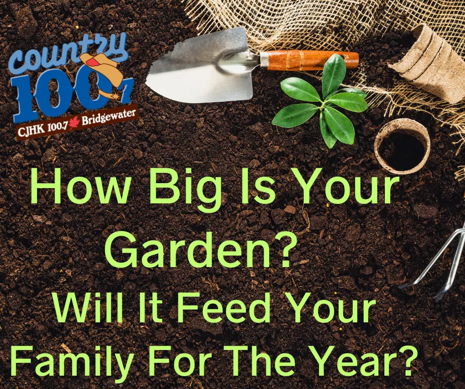 How Much Should I Plant?  Answering The Gardener's BIG Question!