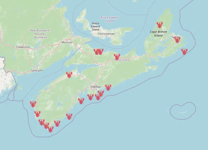 Here's Where You Can Find All The Lobster Trap Christmas Trees!