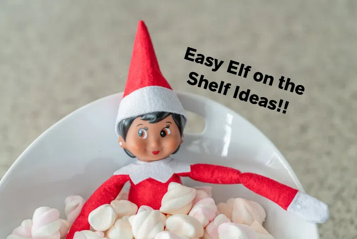 Easy Elf on the Shelf Ideas!!